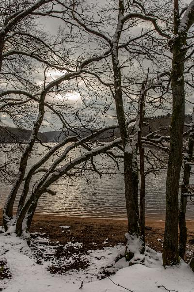 2018_02_10_Lac de Chaumecon (0021).jpg - lac de Chaumeçon (février 2018)